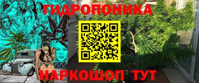 ECSTASY Кандалакша