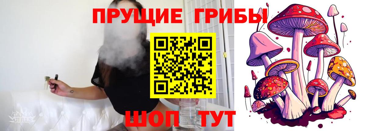 Бутурлиновка  продажа наркотиков  Вход с VPN  Галлюциногенные грибы MAGIC MUSHROOMS 